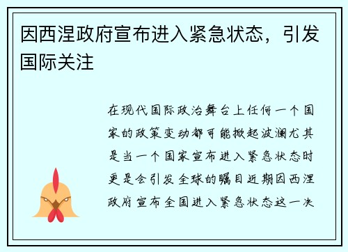 因西涅政府宣布进入紧急状态，引发国际关注