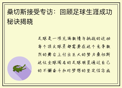 桑切斯接受专访：回顾足球生涯成功秘诀揭晓